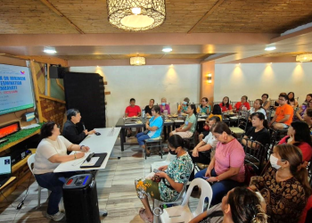 RTWPB-I holds wage consultations for kasambahays