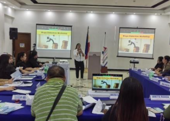 RTWPB-IX conducts wage distortion seminar-workshop for ITC Tourism Council