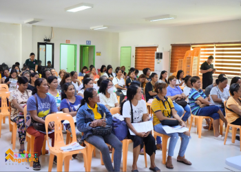 RTWPB-MIMAROPA, DOLE, and DTI unite to uplift kasambahays in convergence program